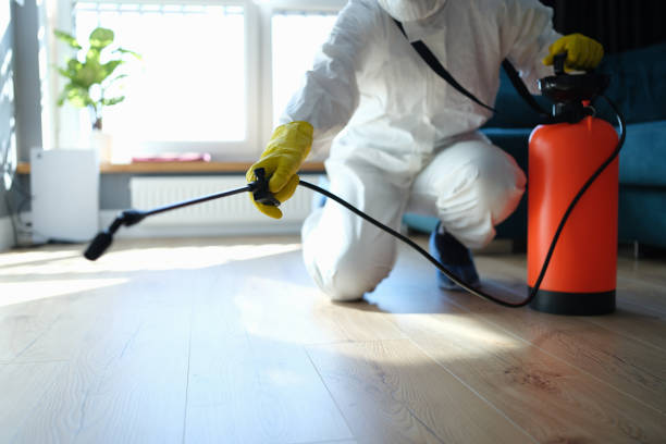 Trusted Sewage Cleanup service in Springfield, MI - Four Month Blood Cleanse